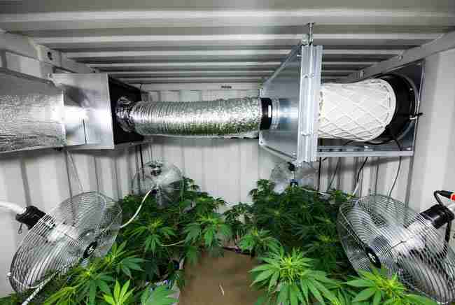 Professional ventilation system with carbon filter, exhaust fan, and airflow fans inside a shipping container cannabis grow