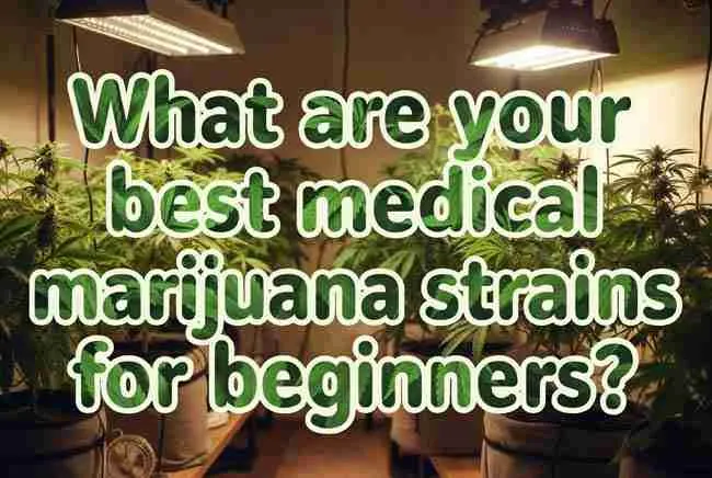 Hero/featured image with the full article title in bold bubble cannabis-leaf lettering over a cozy beginner grow room background.