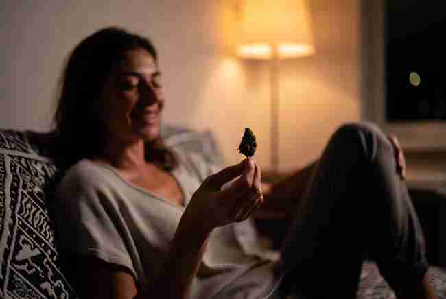 Relaxed person smiling while holding a small cannabis bud in a cozy evening living room
