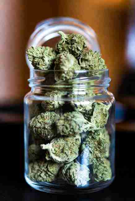 Jar of cured frosty White Widow cannabis buds on wooden surface