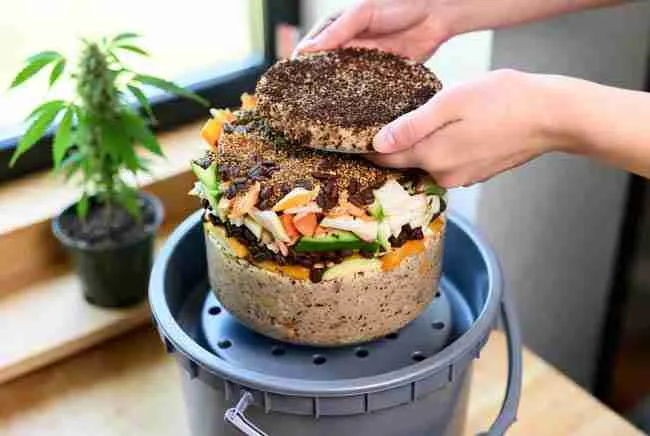DIY bokashi composting cannabis system build with two 5-gallon buckets, layered kitchen scraps, and bokashi bran being pressed down for anaerobic fermentation in home cannabis garden