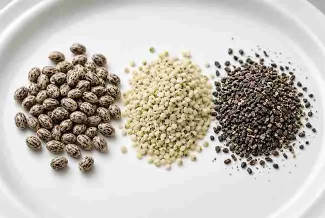Cannabis seeds beside hulled hemp hearts and small dark seeds