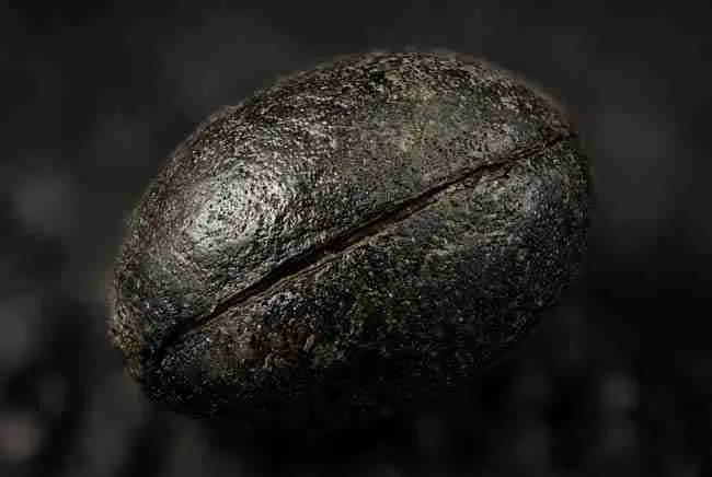 Macro of a hard cannabis seed coat with a closed seam