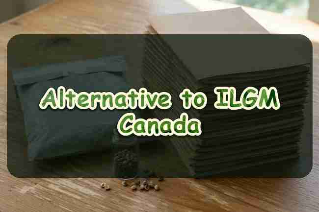 Alternative to ILGM Canada