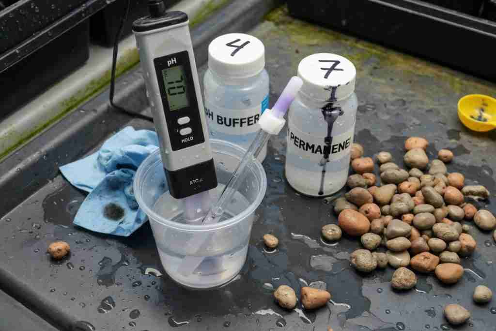 Calibrating a digital pH meter with pH 4.01 and 7.00 buffer solutions