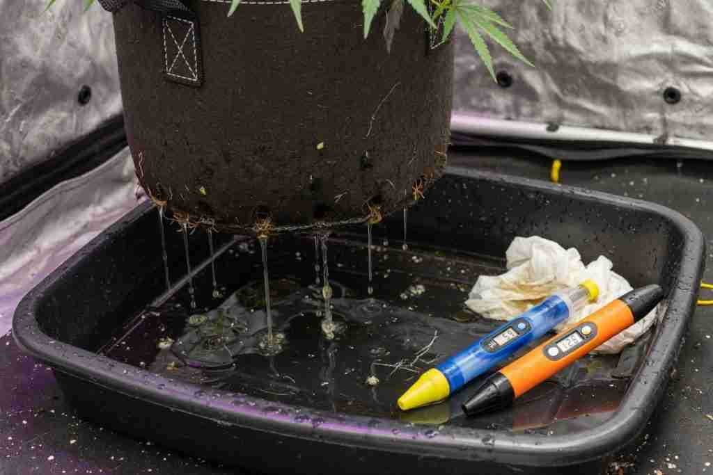 Runoff dripping from a fabric pot of cannabis into a catch tray with pH and EC pens