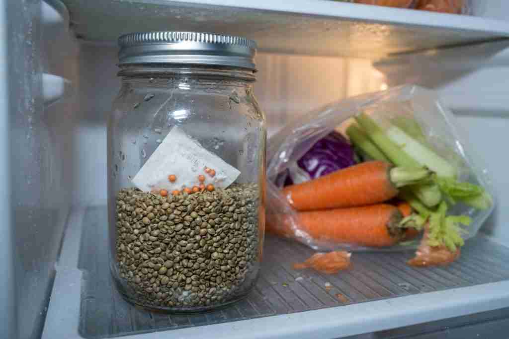 Mason jar of cannabis seeds with a desiccant pack stored in a refrigerator