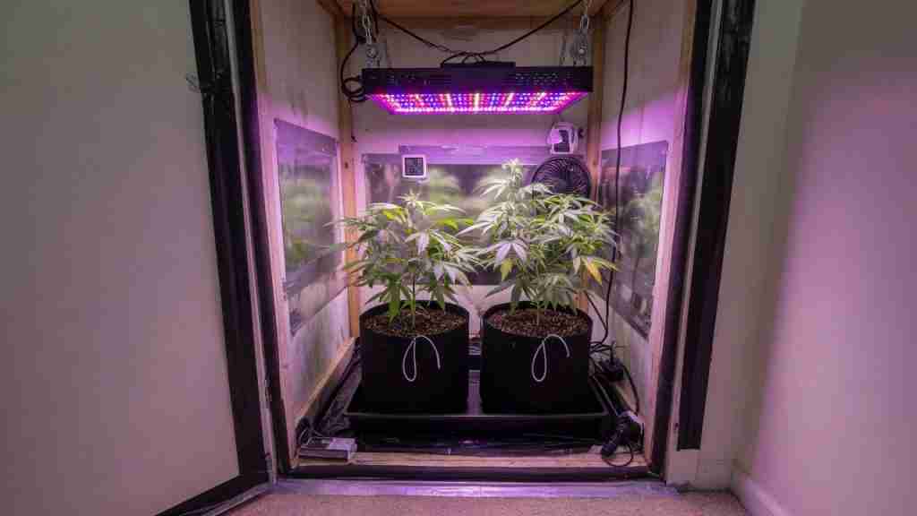 Closet converted into a small stealth cannabis grow with LED and two fabric pots