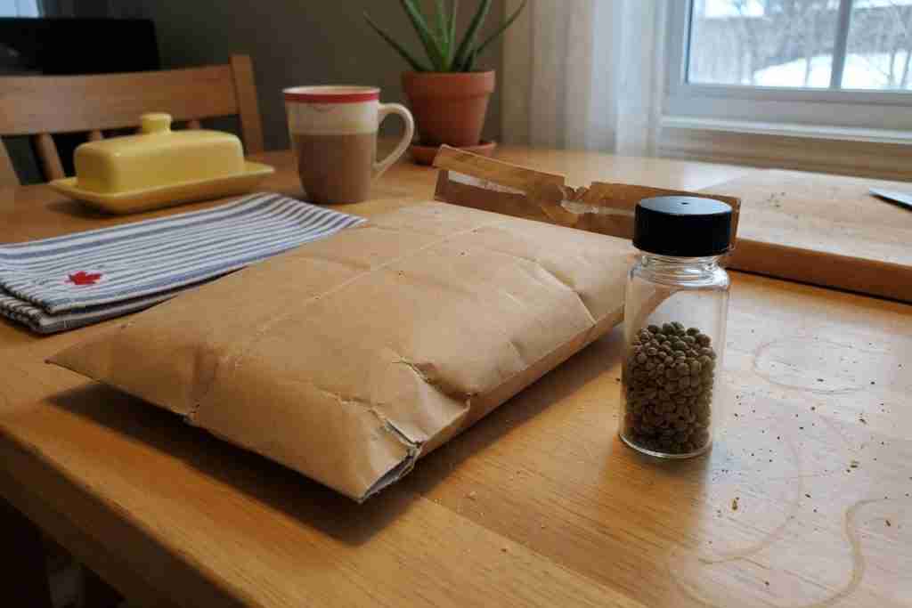 Plain brown padded mailer beside a glass vial of cannabis seeds on a kitchen table