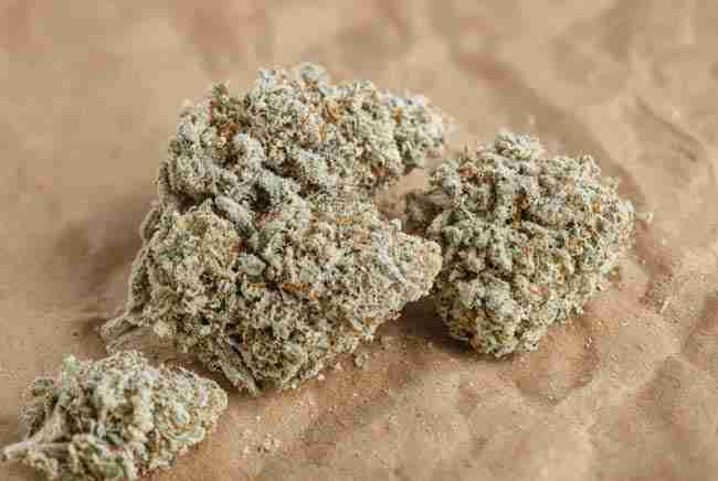 Pale frosty buds on kraft paper