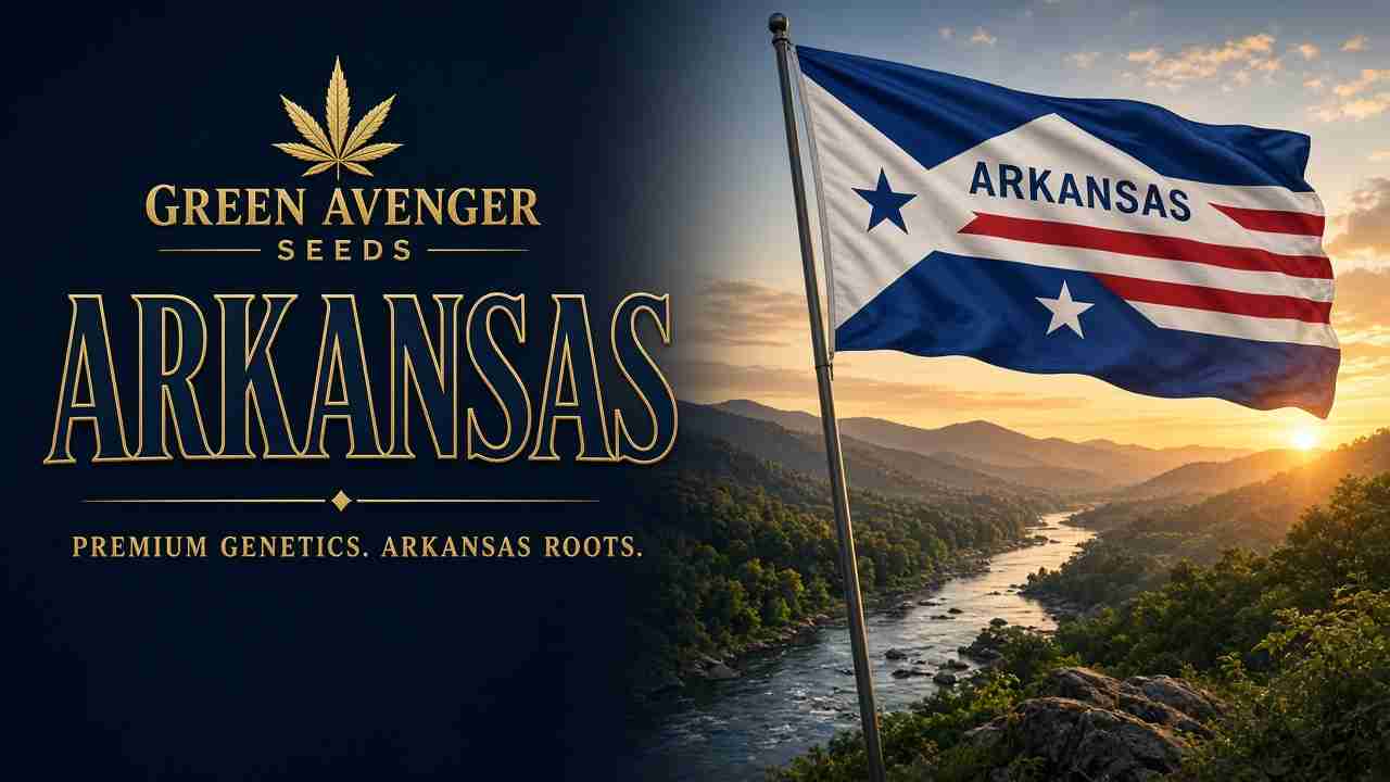 Buy cannabis seeds in Arkansas — Green Avenger Seeds with official Arkansas state flag
