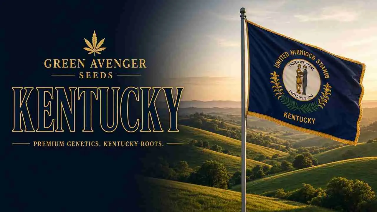 Buy cannabis seeds in Kentucky — Green Avenger Seeds