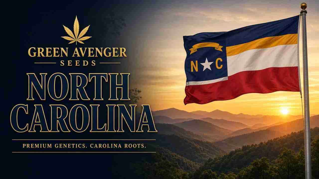 Buy cannabis seeds in North Carolina — Green Avenger Seeds with official North Carolina state flag