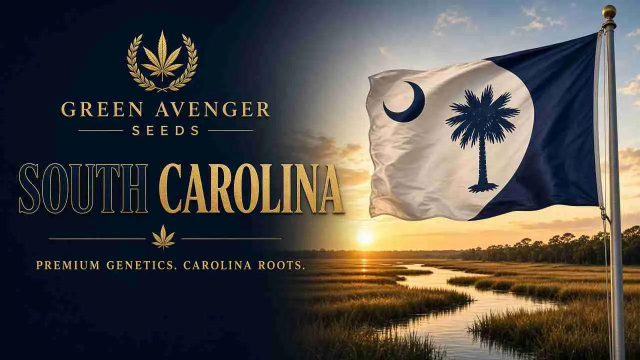 Buy cannabis seeds in South Carolina — Green Avenger Seeds