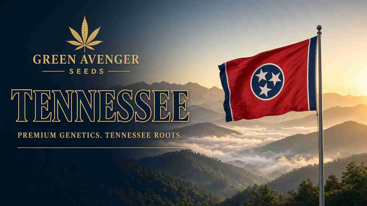 Buy cannabis seeds in Tennessee — Green Avenger Seeds