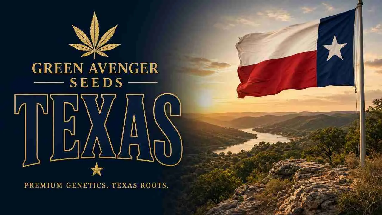 Buy cannabis seeds in Texas — Green Avenger Seeds