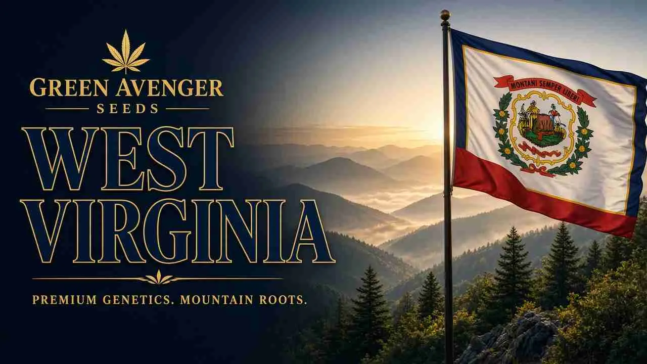 Buy cannabis seeds in West Virginia — Green Avenger Seeds