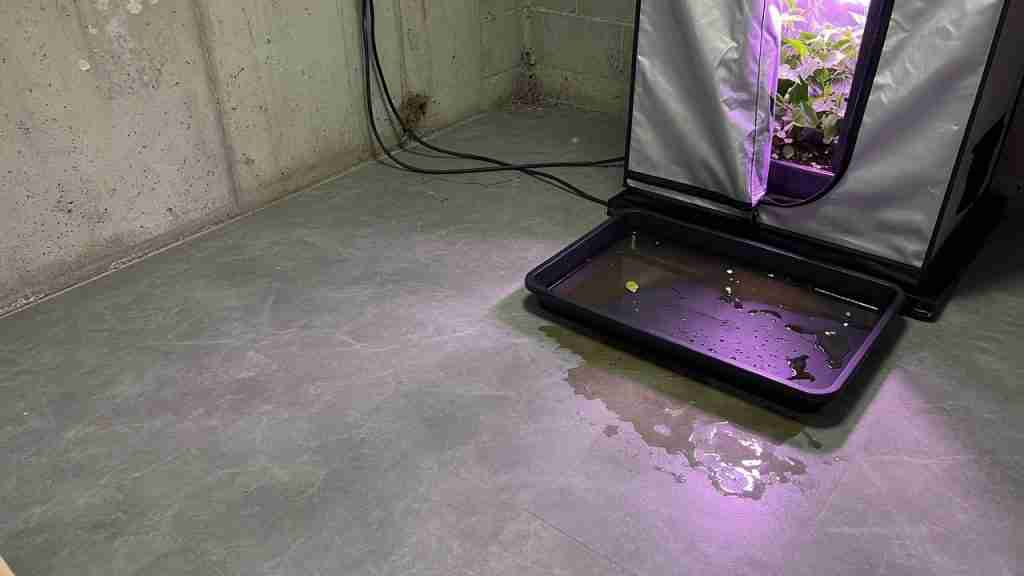 Waterproof vinyl basement floor under a grow tent with a spill tray