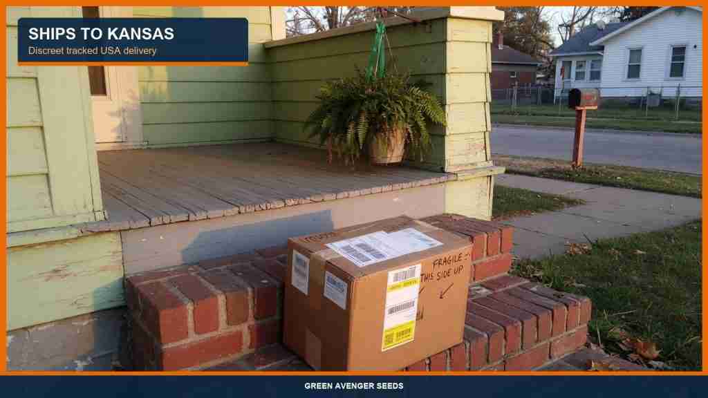 Discreet tracked cannabis seed shipping to a Wichita porch