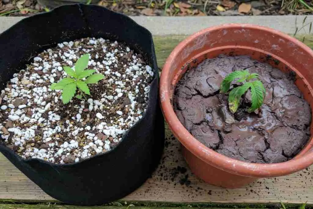 Fluffy perlite cannabis mix in a fabric pot beside compacted wet clay in a plastic pot