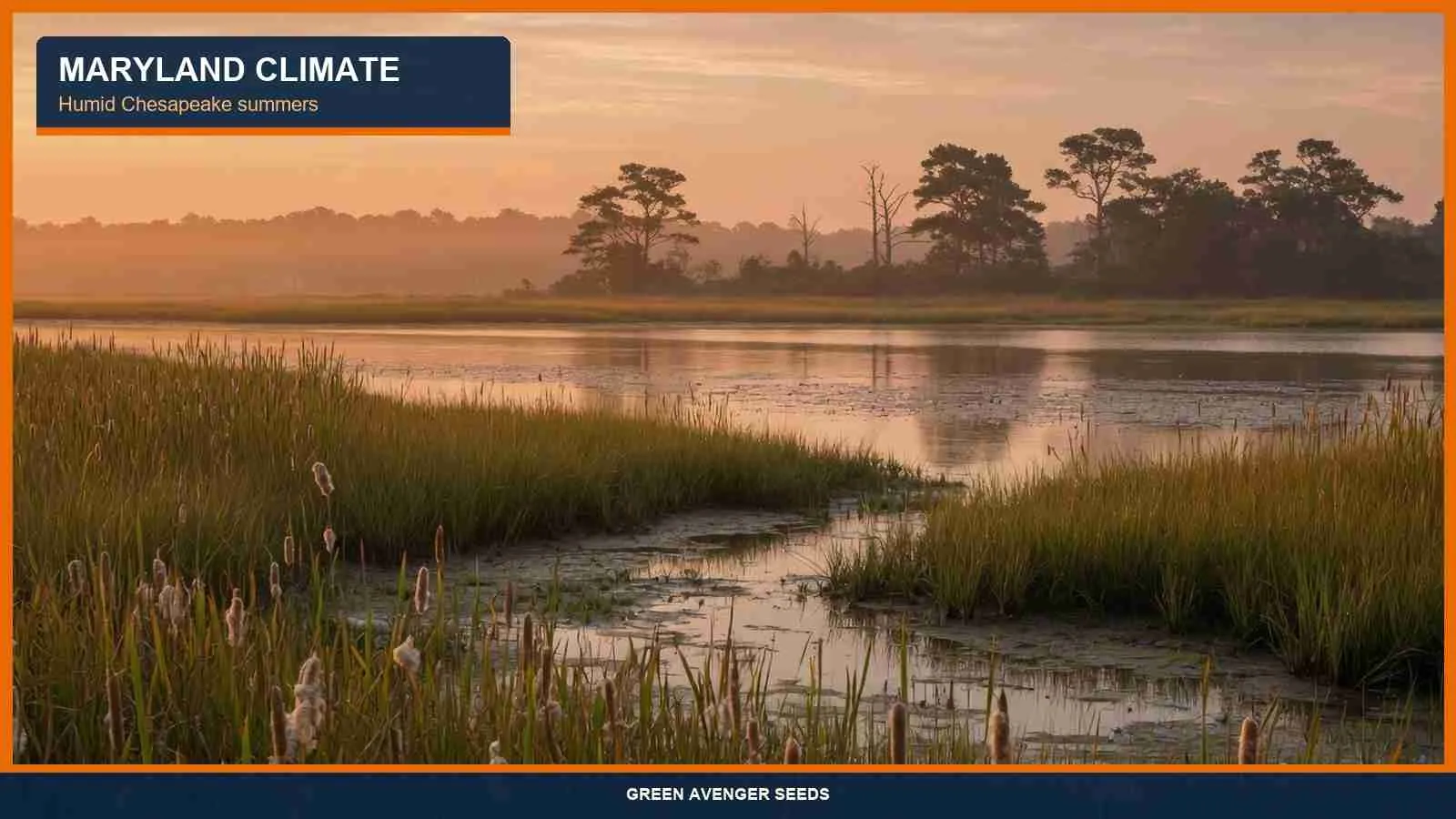 Maryland climate notes for cannabis seed buyers — humid Chesapeake summers