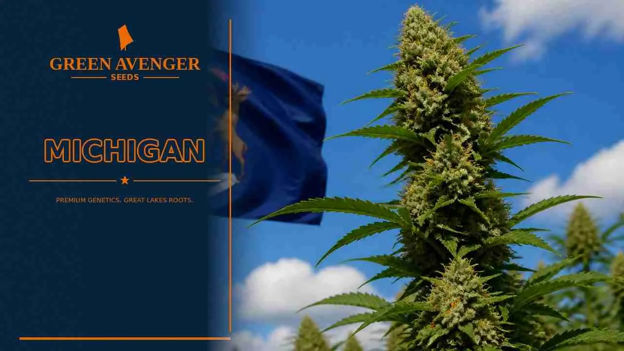 Buy cannabis seeds in Michigan — Green Avenger Seeds with official Michigan state flag