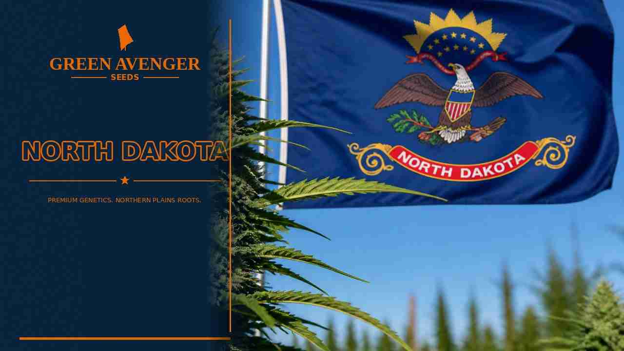 Buy cannabis seeds in North Dakota — Green Avenger Seeds
