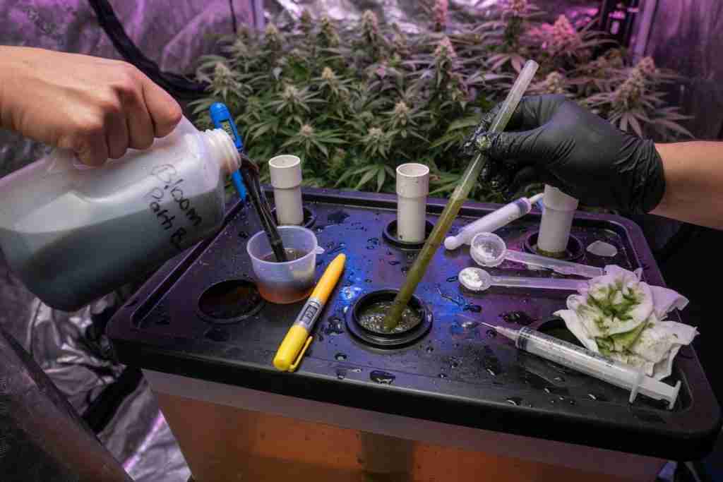 Mixing hydroponic bloom nutrients into a reservoir while testing with pH and EC pens