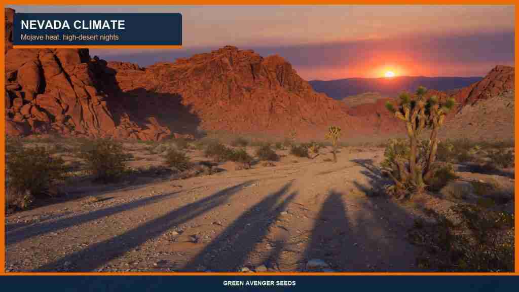 Nevada desert climate notes for cannabis seed collectors