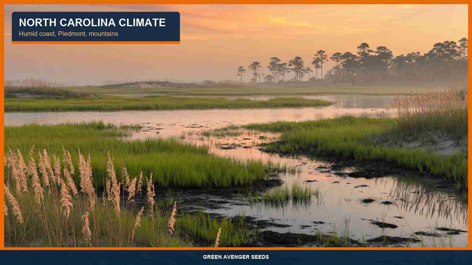 North Carolina climate notes for cannabis seed buyers — humid coast and Piedmont