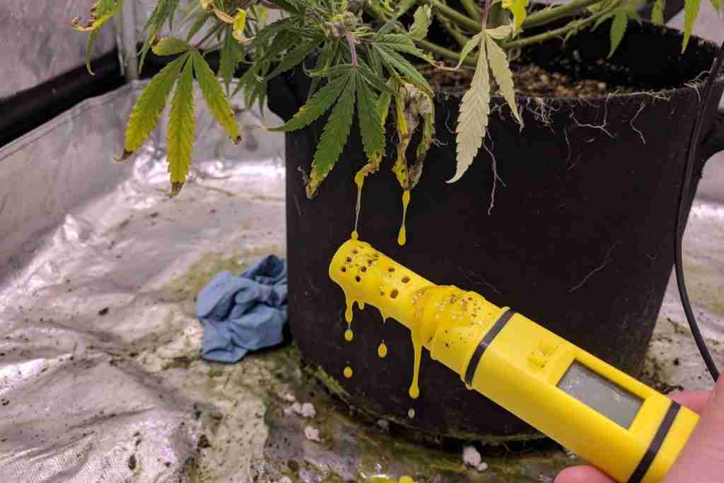 pH meter probe in runoff from a stressed cannabis plant in a grow tent