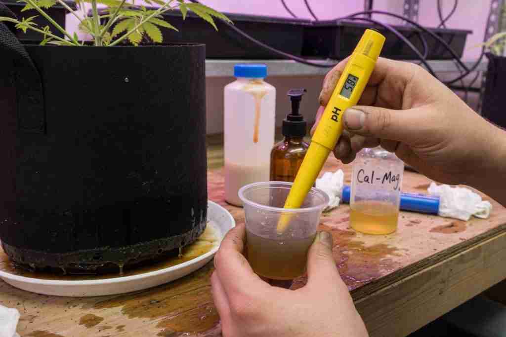 Testing pH of cannabis pot runoff with a handheld pH pen on a grow bench