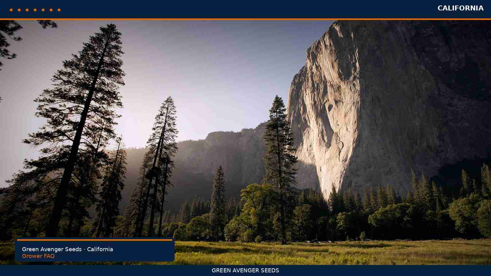 Cannabis seeds in California FAQ — Green Avenger Seeds grow lifestyle art