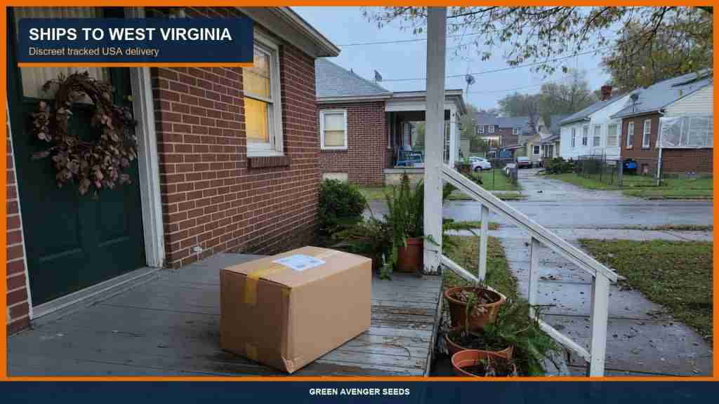 Discreet tracked cannabis seed shipping to a West Virginia porch