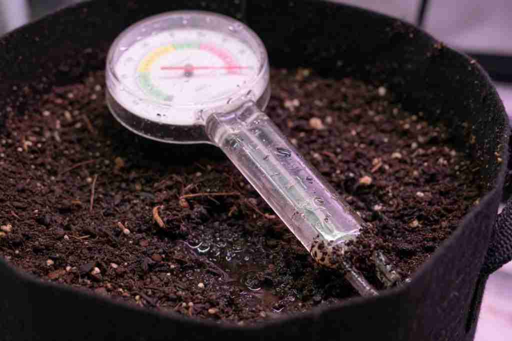 Analog needle pH probe sitting in wet potting mix in a fabric grow pot