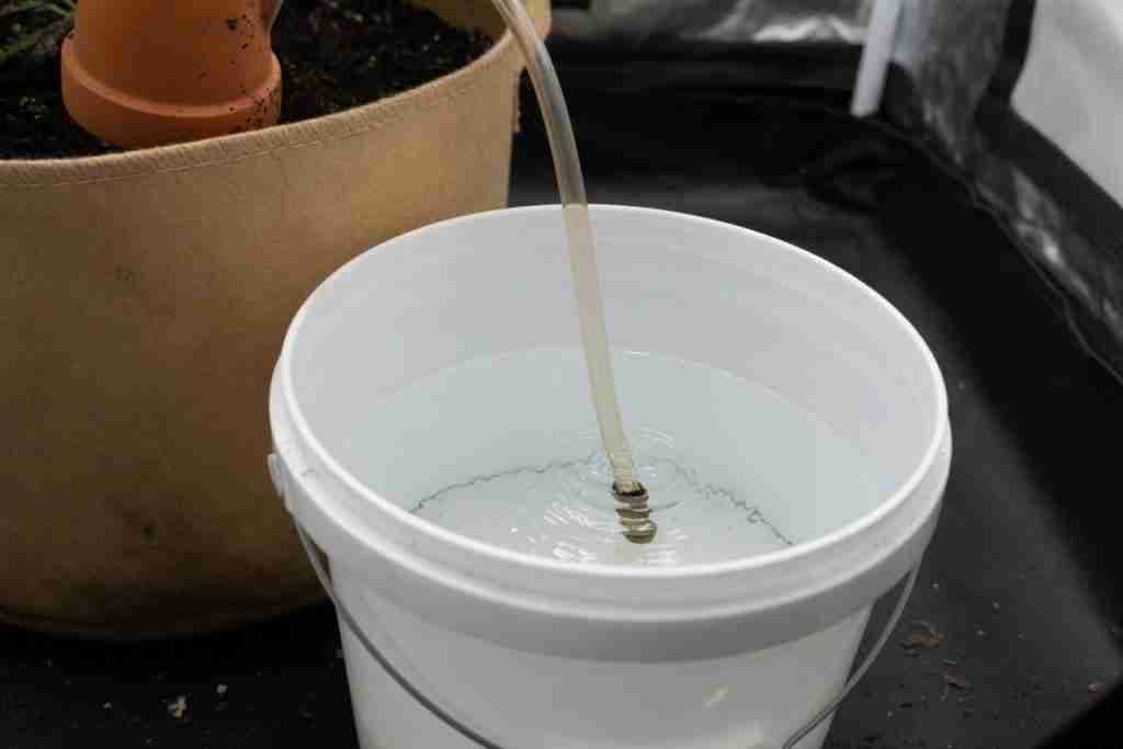 A clear tube ending in a bucket of water beside a fabric pot