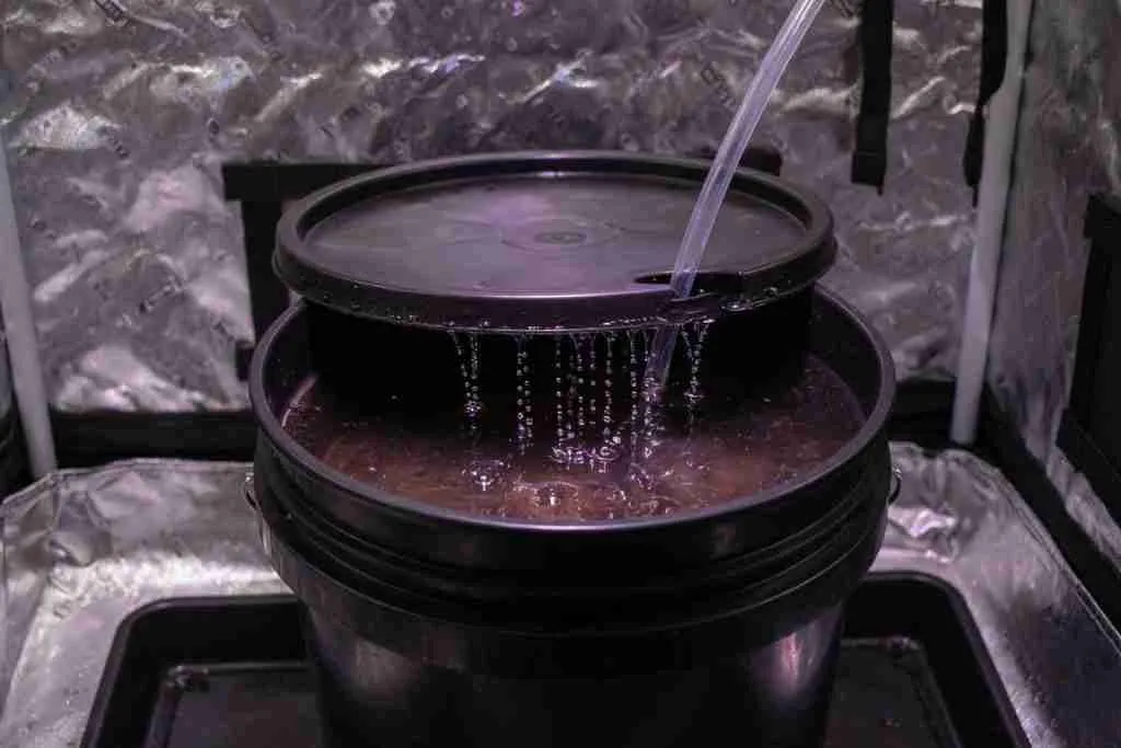 A lidded bucket with an airline inside a grow tent