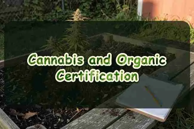 Cannabis and organic certification