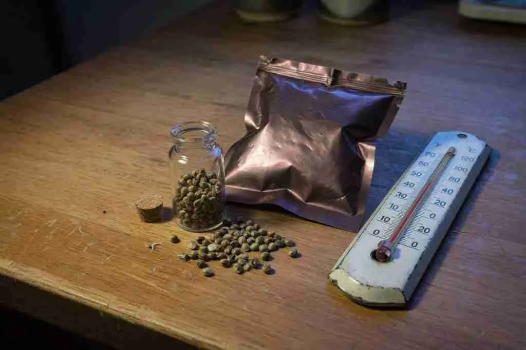 Open vial of cannabis seeds beside a sealed mylar pouch and a thermometer