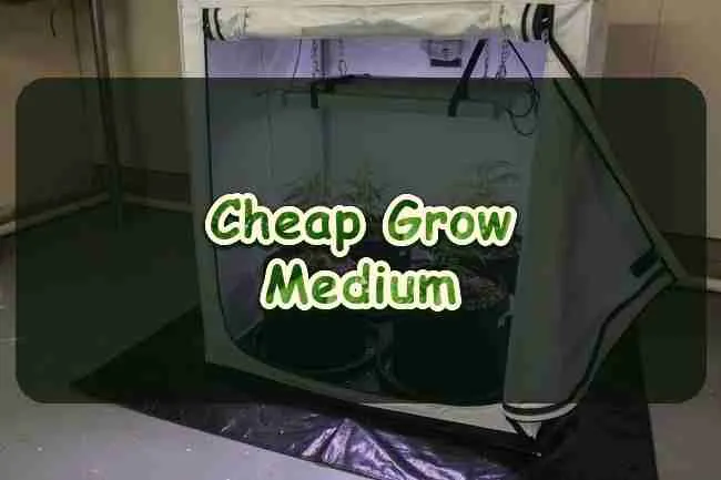 Cheap Grow Medium