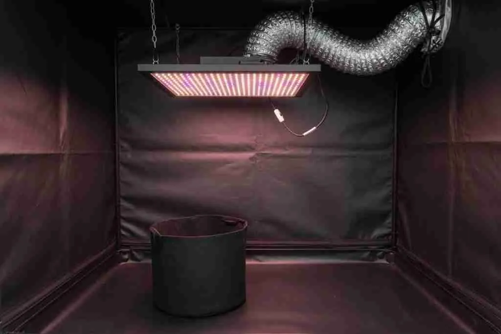 An empty grow tent with a fabric pot and a hanging light