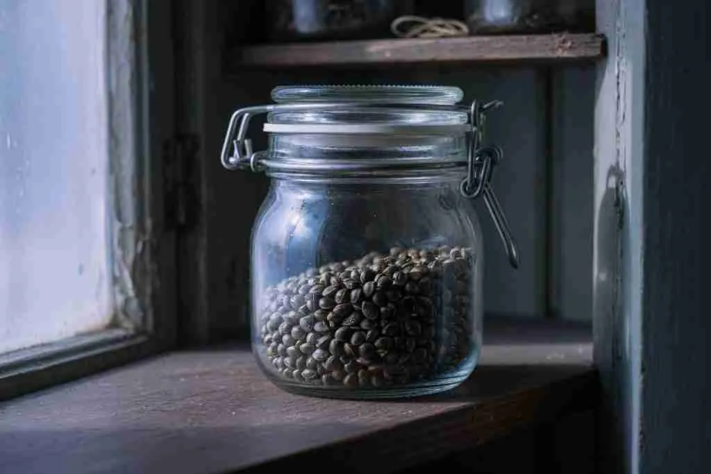 Cannabis seeds in a clamp-lid glass jar