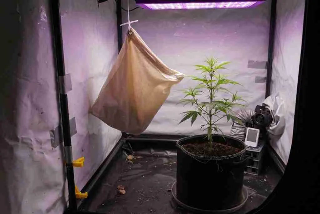 A plain fabric bag hanging in a small grow tent