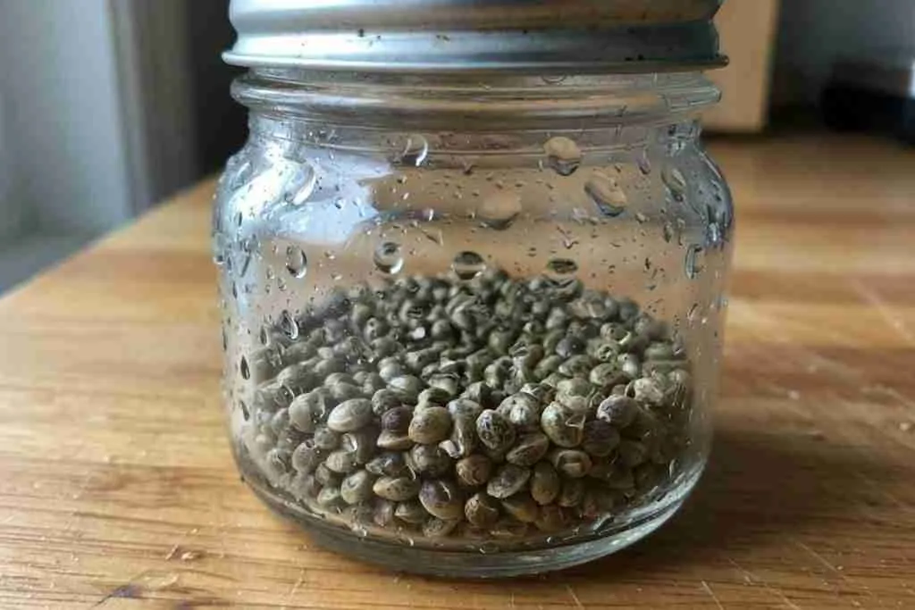 Cold glass jar of cannabis seeds with condensation droplets on the outside
