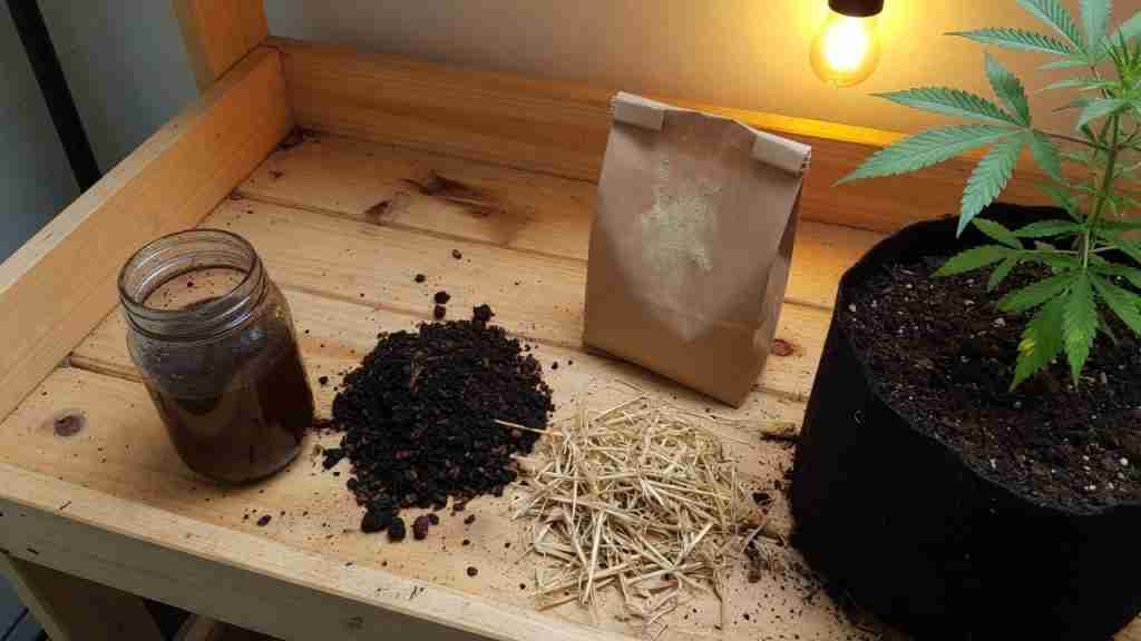 Potting bench with compost tea, worm castings, straw mulch, an unlabeled pouch, and a young cannabis plant