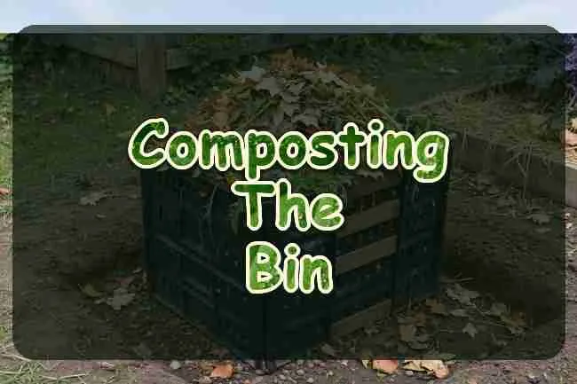 A compost bin beside a garden bed