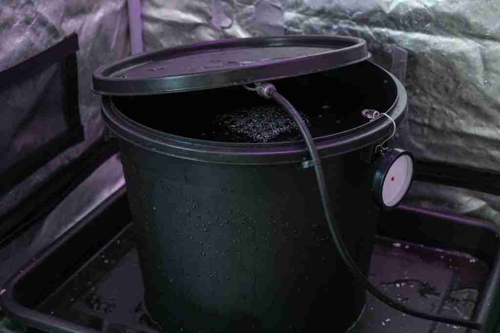 Condensation on a black DWC bucket with the air line still running