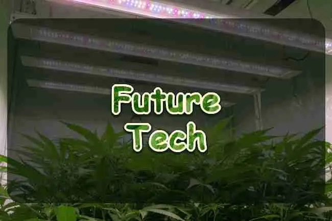Future Tech for Cannabis Growers