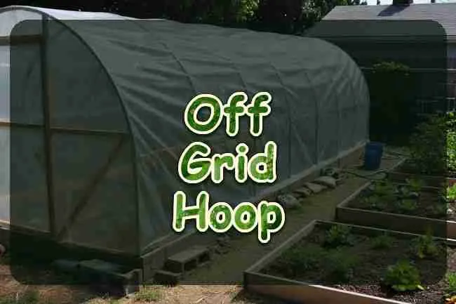 Sunlit hoop greenhouse beside garden beds