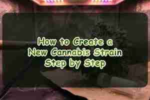 How to Create a New Cannabis Strain Step by Step